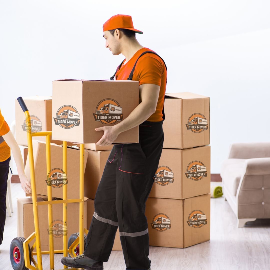 Tiger Mover team loading and unloading boxes in Abu Dhabi