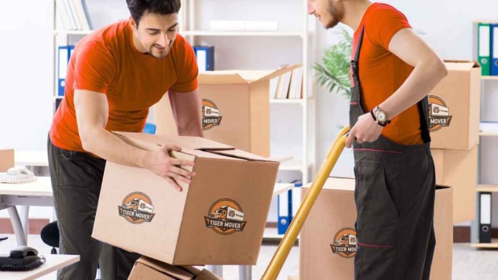 Tiger Mover handyman service fixing curtain rods post-move